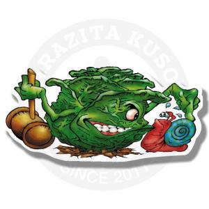 Капуста Капуста<br>