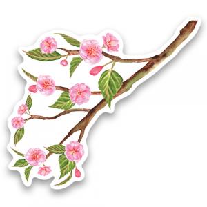 Веточка сакуры