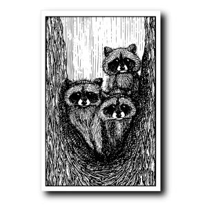Енотики