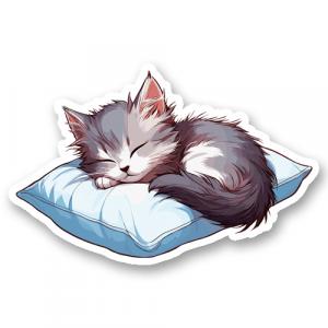 Спящий на подушке котёнок