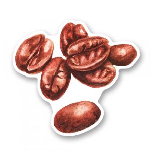 Группа кофейных акварельных зерен