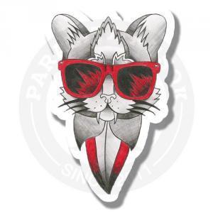 Кот в очках