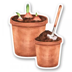 Цветочные горшки с совком и луковицами