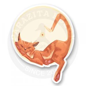 Кот