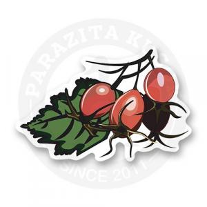 Стикер "Шиповник"
