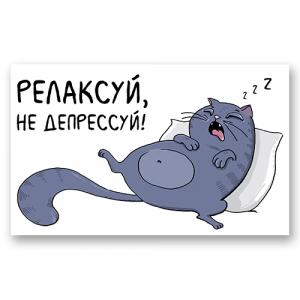 Кот релакс