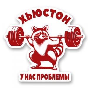 Хьюстон у нас проблемы