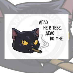 Дерзкий кот