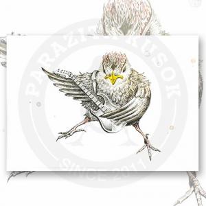 Открытка "Rock Bird"