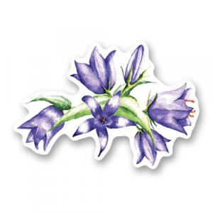 Букет фиолетовых колокольчиков. Акварель