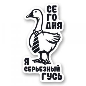 Сегодня я серьезный гусь