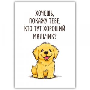 Хороший мальчик