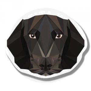 Пес хаунд