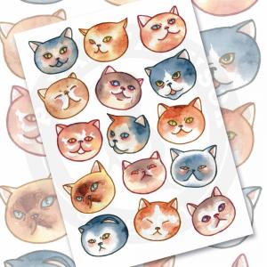 Стикеры с эмоциональными котами