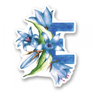 Буква E и колокольчики