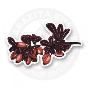 Стикер "Барбарис"