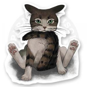 Кот Ждун