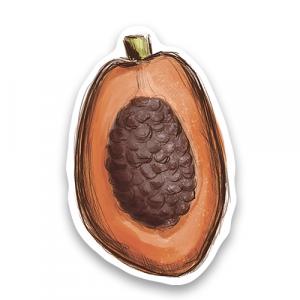 Натуральный тропический какао-боб