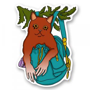 кот путешественник