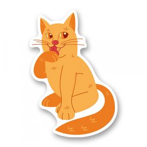 Милый котик лижет лапку