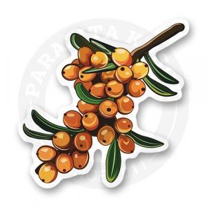 Стикер "Облепиха"