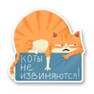 Коты не извиняются
