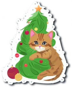 Котик
