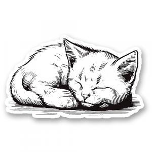Стикер «cпящий котёнок»