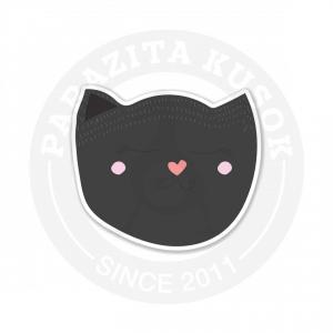 Автор: chirkessova