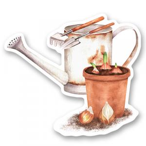 Лейка, садовые инструменты и горшок с луковицами