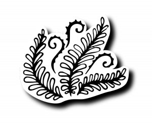 Папоротник