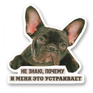 Не знаю почему и меня это устраивает