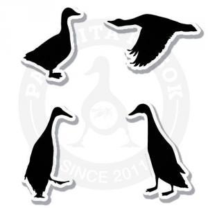 Силуеты гусей принесут новостей