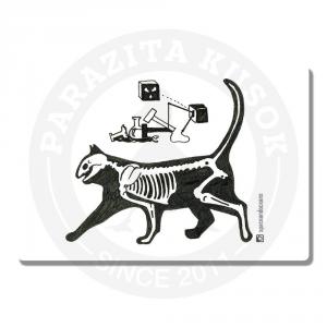 Кот Шредингера