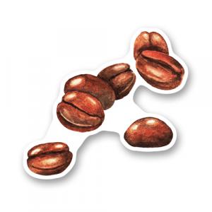 Кофейные зерна. Акварель