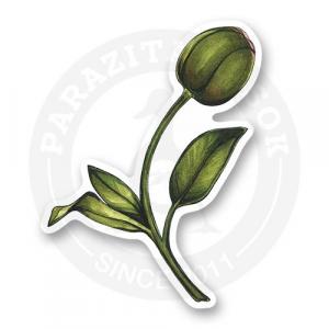 Стикер "Зеленый цветок"