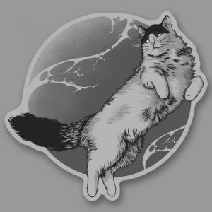 Котя