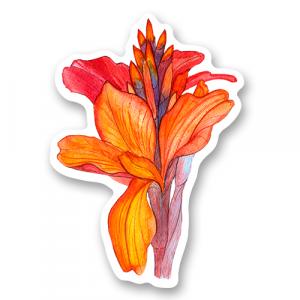 Канна