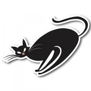 Кот