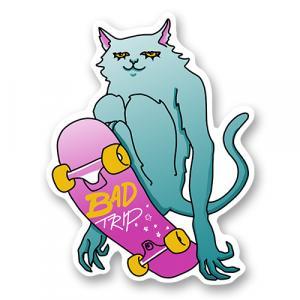 кот скейтер