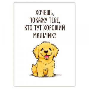 Хороший мальчик