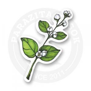Стикер "Gently flower"