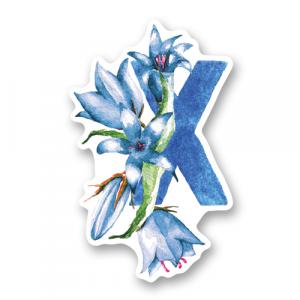 Буква X и колокольчики
