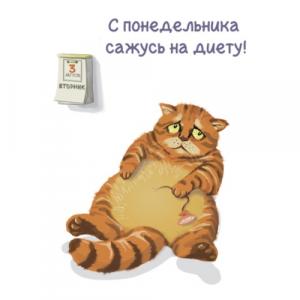 С понедельника сажусь на диету!