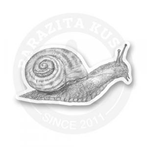 Стикер "Улитка"