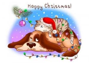 Кот и собака