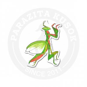 Автор: Svyatozar