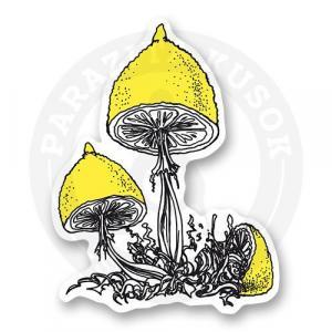 Стикер "Lemonita"