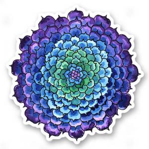 Космический суккулент