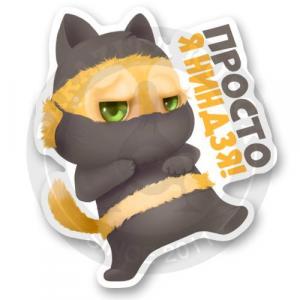 Кот в маске